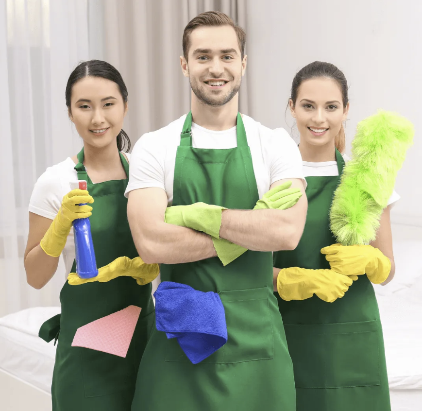 Professional cleaning team